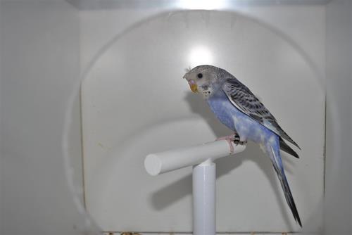 DSC_1935 DSC_1935