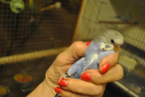 DSC_1421 (1) DSC_1421 (1)