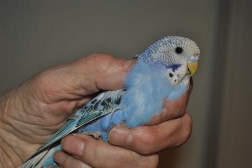 DSC_1869 DSC_1869