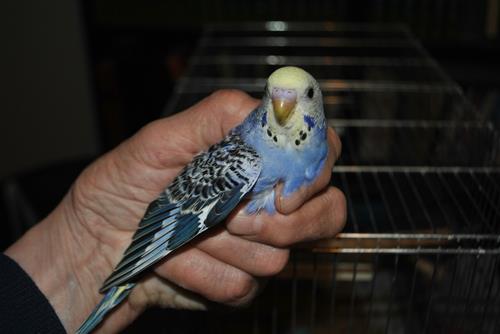 DSC_1912 DSC_1912