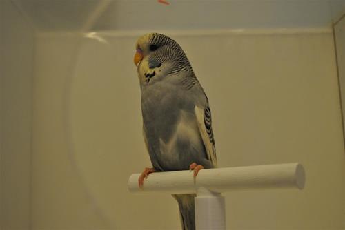 DSC_1954 DSC_1954