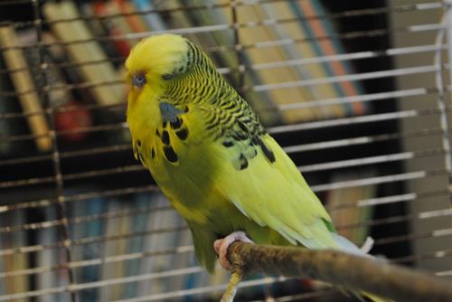 DSC_1448 DSC_1448