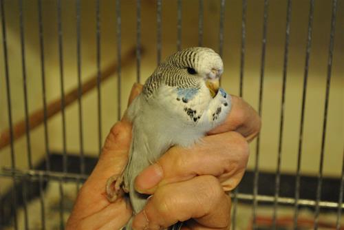 DSC_1979 DSC_1979