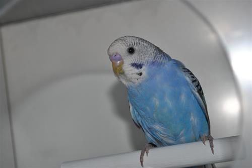 DSC_1861 DSC_1861