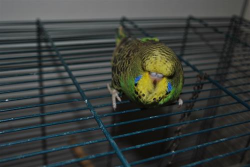 DSC_1867 DSC_1867