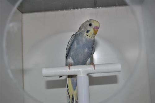 DSC_1882 DSC_1882