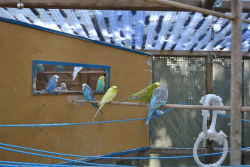 DSC_1941 DSC_1941