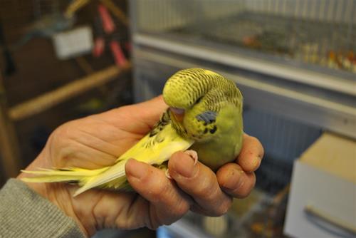 DSC_1980 DSC_1980