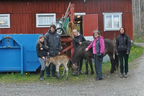 Nina föl folk Nina föl folk
