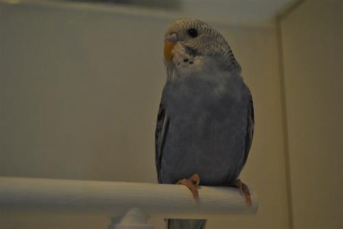 DSC_1823 DSC_1823