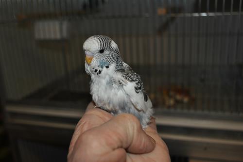 DSC_1982 DSC_1982