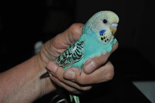 DSC_1928 DSC_1928