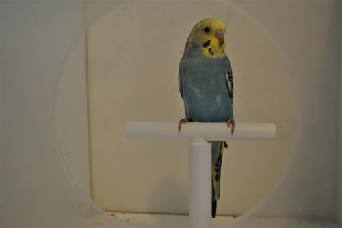 DSC_1910 DSC_1910