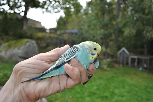 DSC_2008 DSC_2008