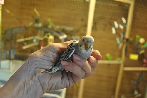 DSC_1865 DSC_1865