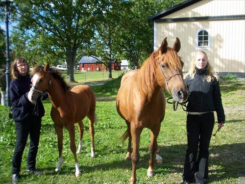 Inger Star Soza Sofie Inger Star Soza Sofie