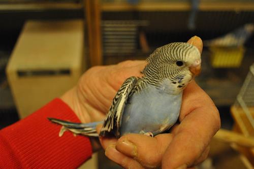 DSC_1772 DSC_1772