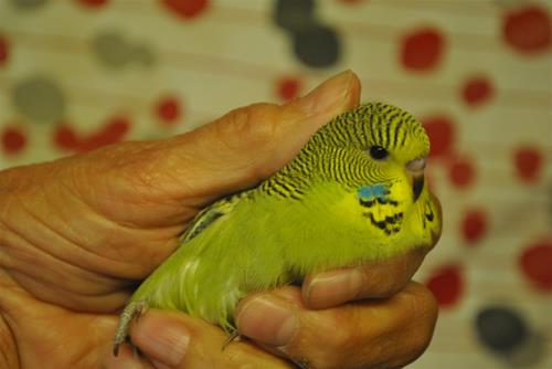 DSC_1438 DSC_1438