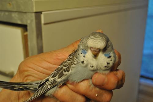 DSC_1954 DSC_1954