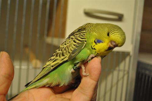 DSC_1957 DSC_1957