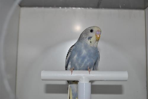 DSC_1890 DSC_1890