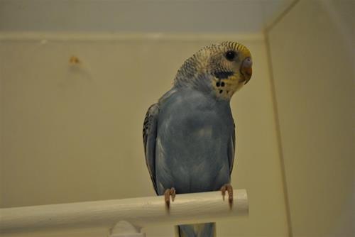 DSC_1944 DSC_1944
