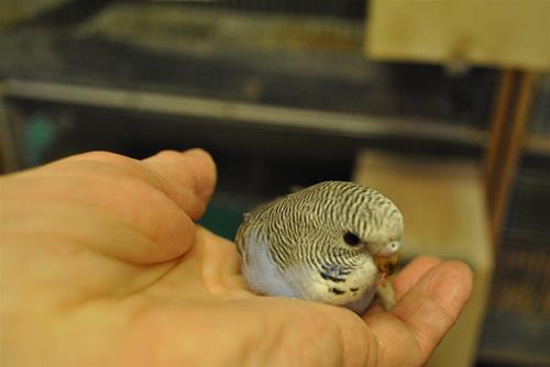 DSC_1787 DSC_1787