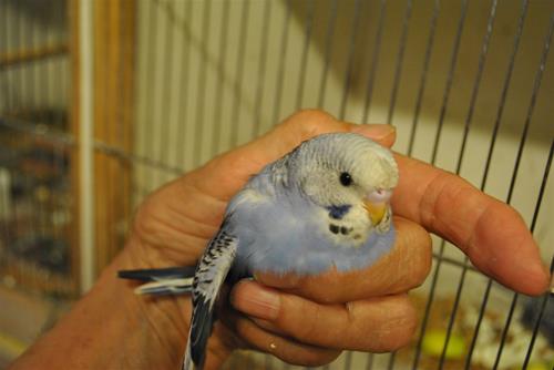 DSC_1975 DSC_1975