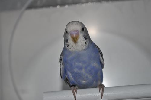 DSC_1865 DSC_1865