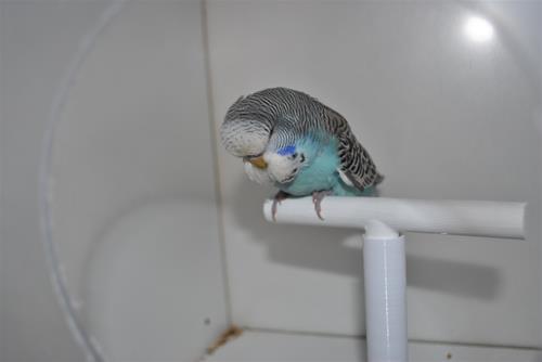 DSC_1925 DSC_1925