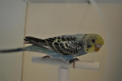 DSC_1899 DSC_1899