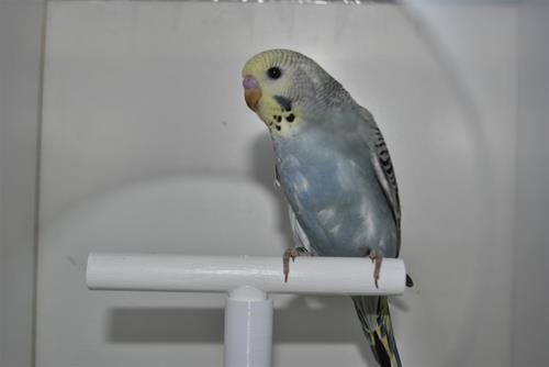 DSC_1925 DSC_1925