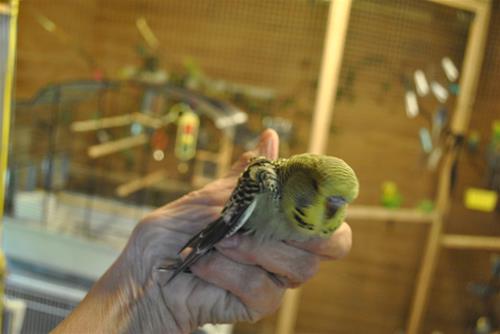 DSC_1860 DSC_1860
