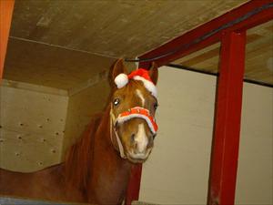 Gladys tomte Gladys tomte