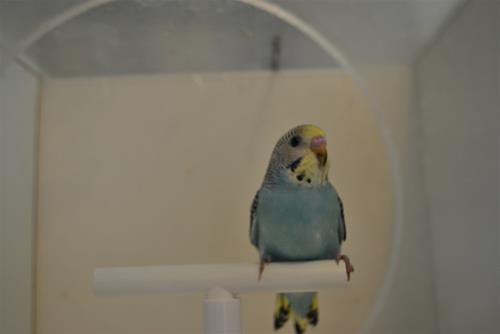 DSC_1901 DSC_1901