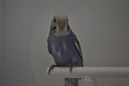 DSC_1875 DSC_1875