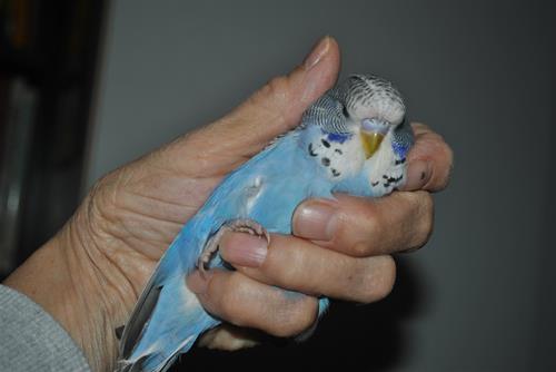 DSC_1577 DSC_1577