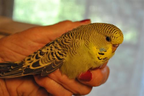 DSC_1968 DSC_1968