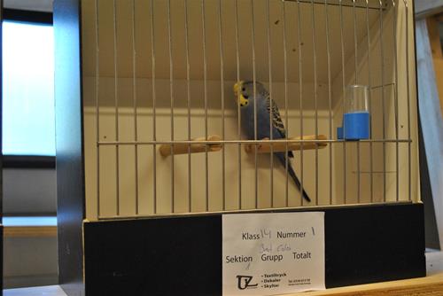 DSC_1439 (2) DSC_1439 (2)