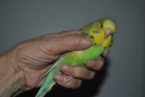 DSC_1579 DSC_1579