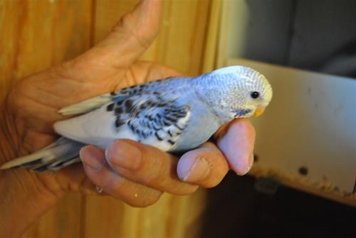 DSC_1964 DSC_1964