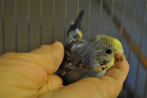 DSC_1971 DSC_1971