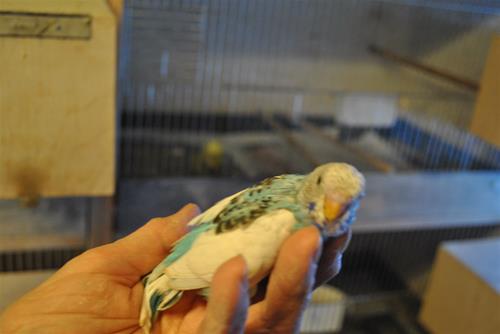 DSC_1801 DSC_1801