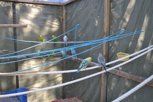 DSC_1940 DSC_1940
