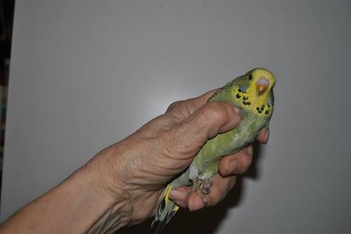 DSC_1625 DSC_1625