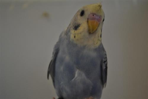 DSC_1905 DSC_1905