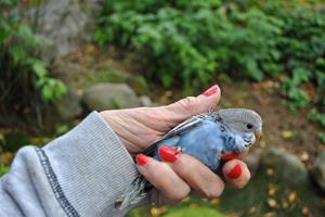 DSC_1447 DSC_1447