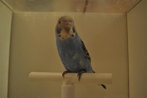 DSC_1875 DSC_1875