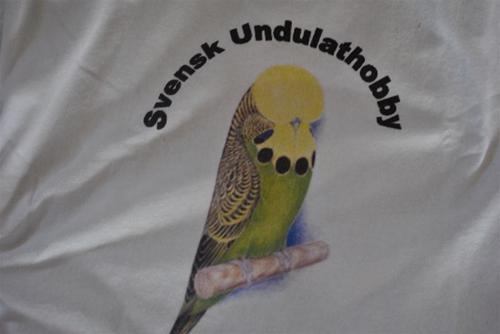 tröjan tröjan