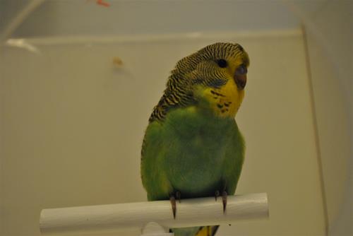 DSC_1946 DSC_1946